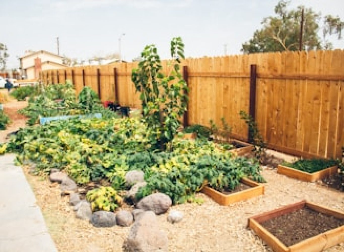 photo-1630441466350-d053acf63b22 (1)